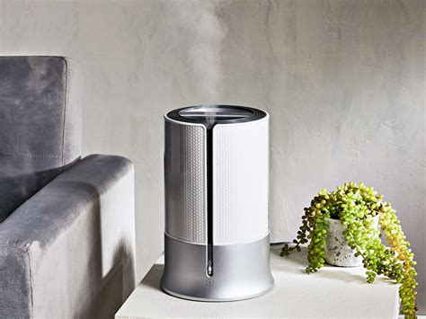 The 9 Best Humidifiers for Plants, Tested and Reviewed 